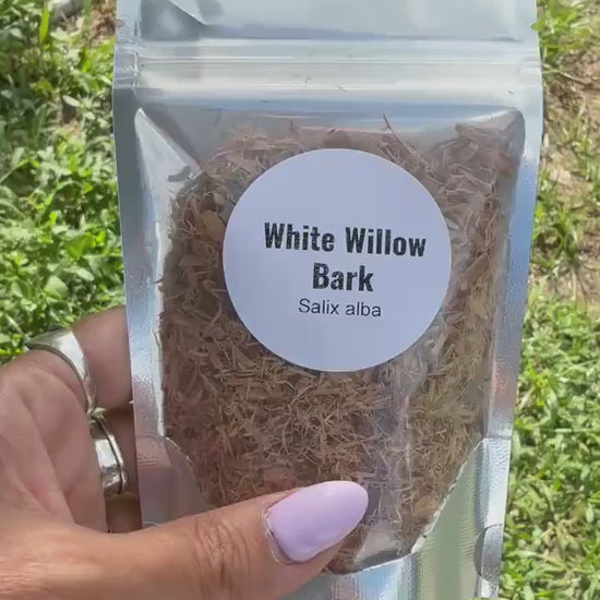 White Willow Bark | Cut & Sifted Dried Herb | Botanical Craft Supply | Herbal Projects, Sachets, Potpourri, DIY Wellness Blends