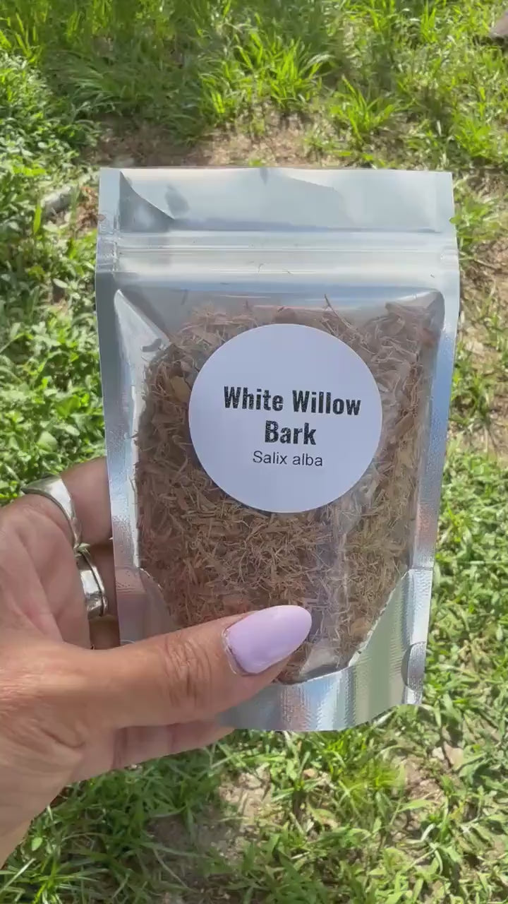 White Willow Bark | Cut & Sifted Dried Herb | Botanical Craft Supply | Herbal Projects, Sachets, Potpourri, DIY Wellness Blends