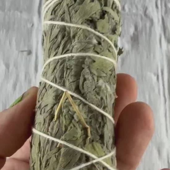 Mugwort Smudge Sticks (Black Sage) – Dreamwork & Cleansing Set