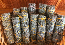 Shasta Sage bundle