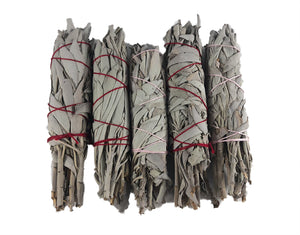 White Sage Smudge Sticks 5-6"