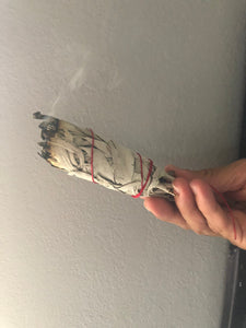 White Sage Smudge Sticks 5-6"