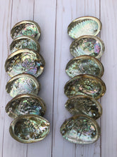 Small abalone shell 4"