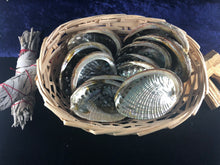 Small abalone shell 4"