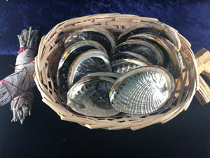 Small abalone shell 4"
