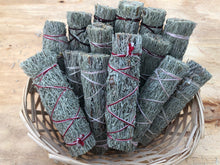 Shasta Sage bundle