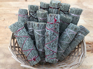 Shasta Sage bundle