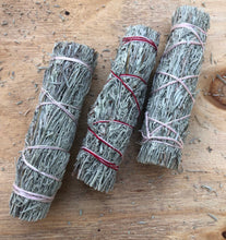 Shasta Sage bundle