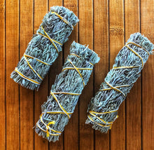 Shasta Sage bundle