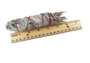 White Sage Smudge Sticks 5-6"
