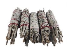White Sage Smudge Sticks 5-6"