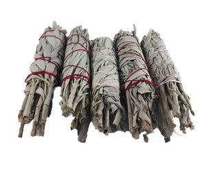 White Sage Smudge Sticks 5-6"