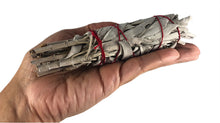 White Sage Smudge Sticks 5-6"
