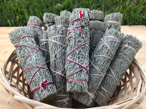 Shasta Sage bundle