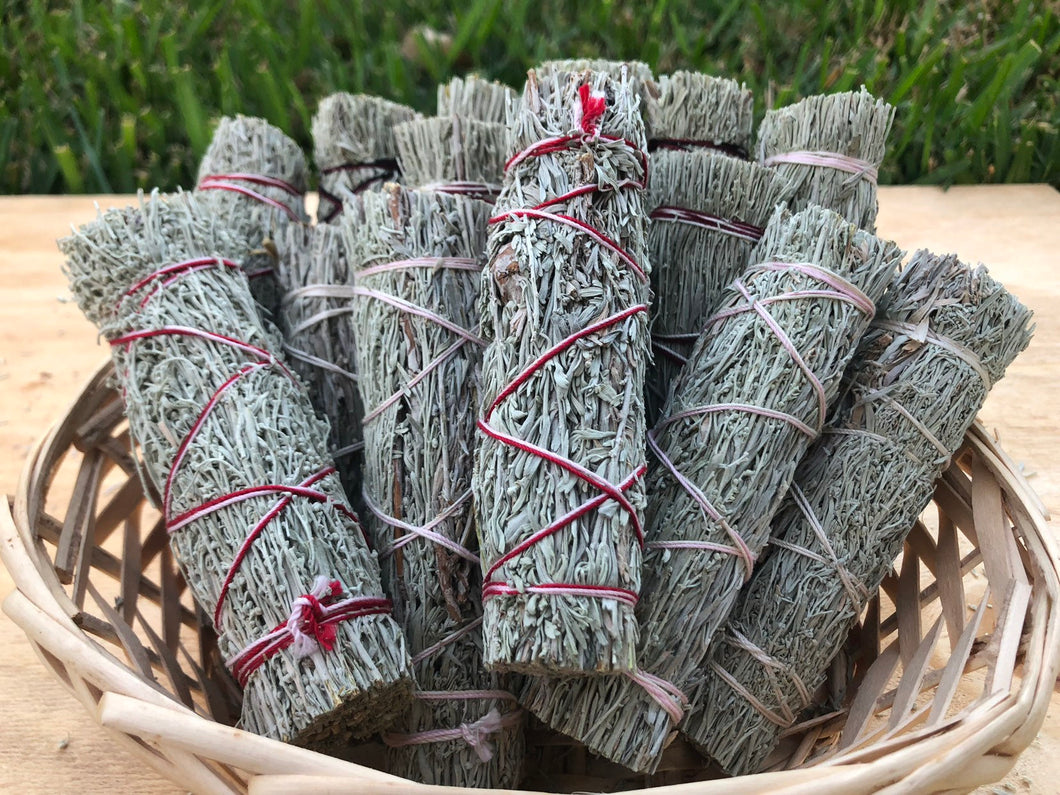 Shasta Sage bundle