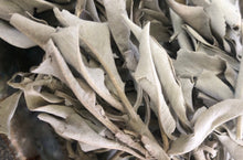 White Sage Loose Leaves