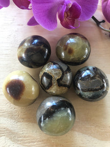 Septarian nodules