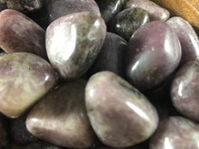 Lepidolite Tumbled stone- 1"