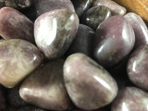 Lepidolite Tumbled stone- 1"