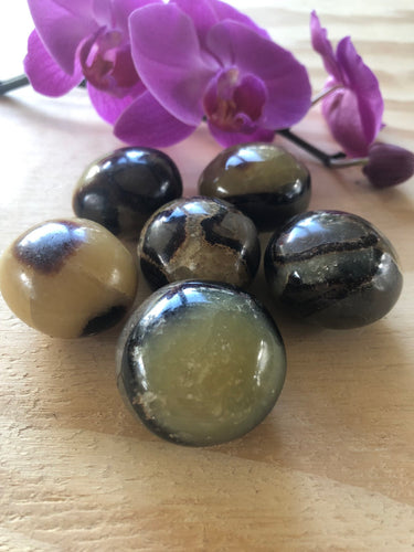 Septarian nodules