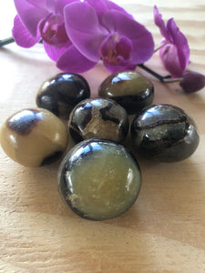 Septarian nodules
