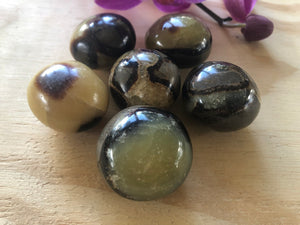 Septarian nodules