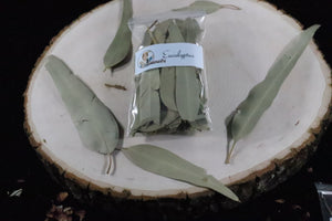 Dried Eucalyptus Leaves, Wedding Petals, Fresh Toss Confetti