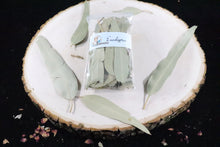 Dried Eucalyptus Leaves, Wedding Petals, Fresh Toss Confetti