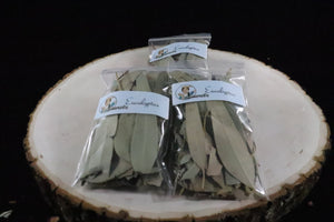 Dried Eucalyptus Leaves, Wedding Petals, Fresh Toss Confetti