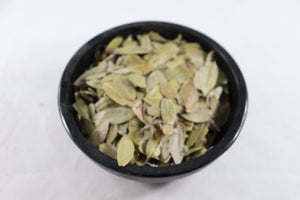Uva Ursi