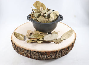 Bay Leaves
