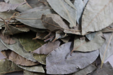 Bay Leaves