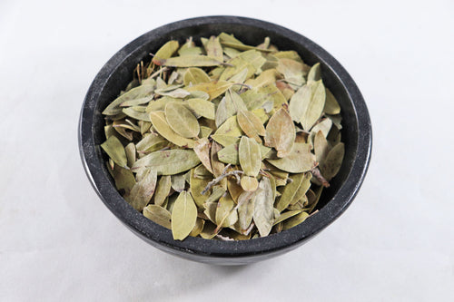 Uva Ursi