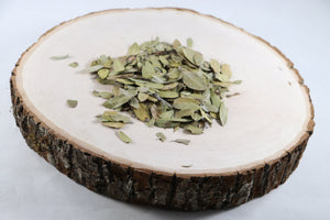 Uva Ursi