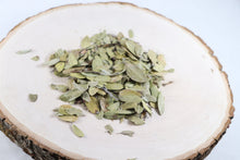 Uva Ursi