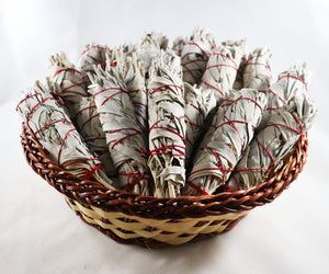 White Sage Smudge Sticks 5-6"