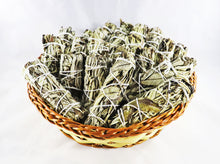 Yerba Santa Bundle
