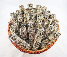 Yerba Santa Bundle