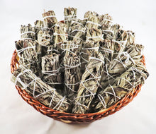 Yerba Santa Bundle