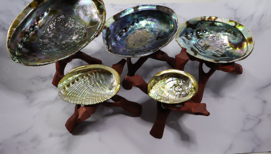 Large Rainbow Abalone Shell 5
