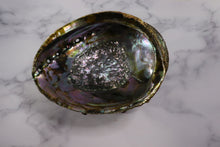 Large Rainbow Abalone Shell 5"-6" with wooden tripod stand