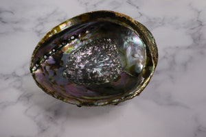 Large Rainbow Abalone Shell 5"-6" with wooden tripod stand