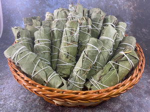 Eucalyptus Smudge Sticks