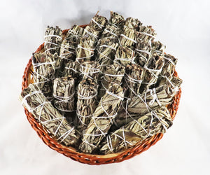 Yerba Santa Bundle