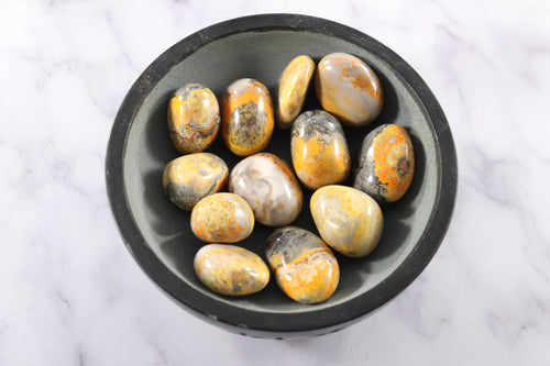 Bumblebee Jasper